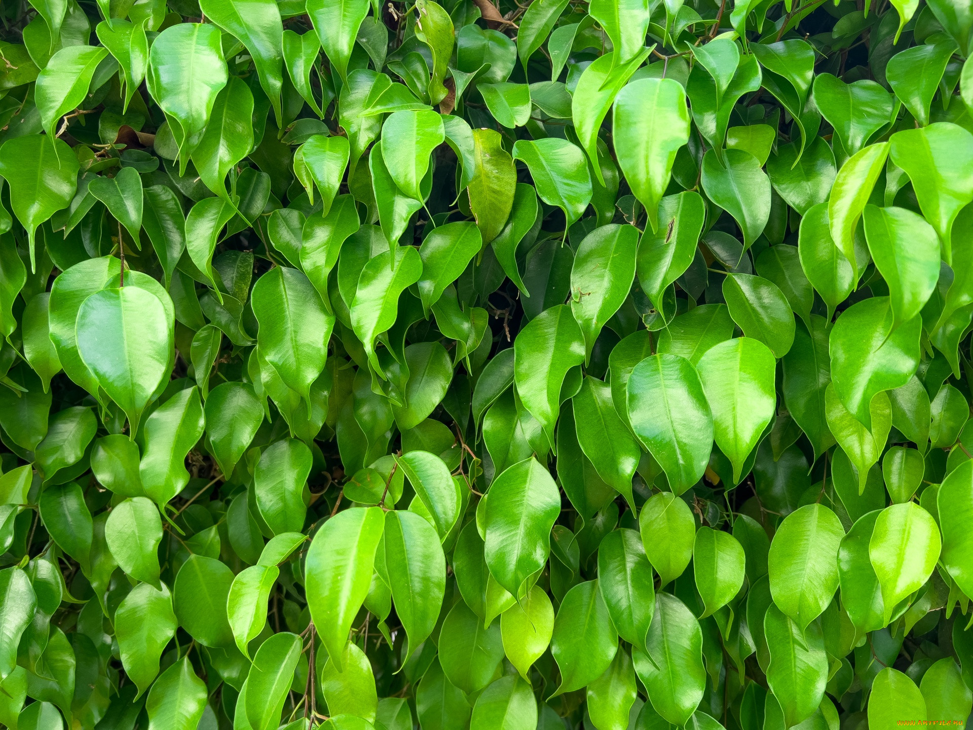 , , , 